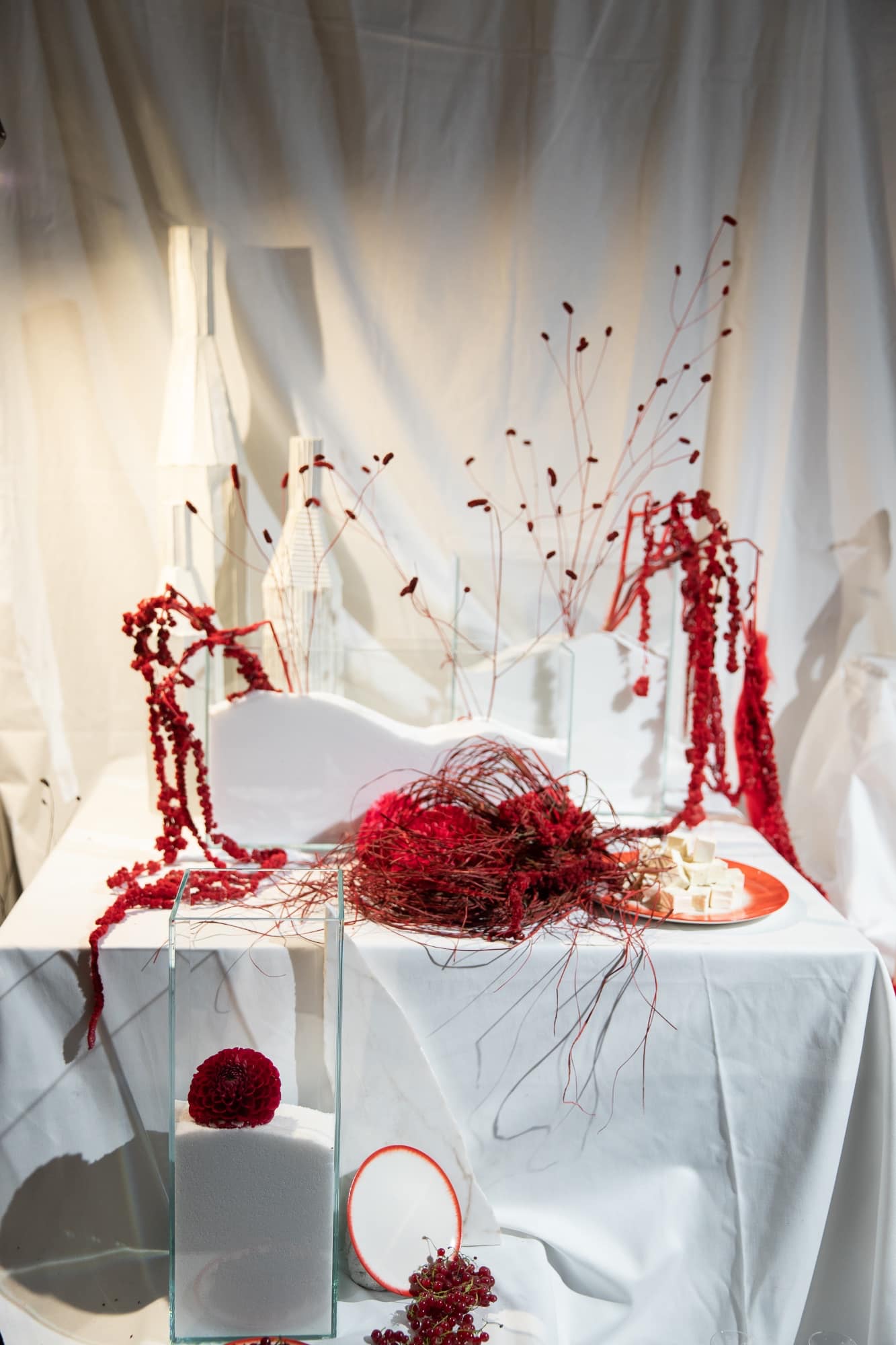 Кровохлёбка — цветок, который был выбран по двум причинам. За счёт своей формы он создаёт иллюзию брызг, добавляющую динамики и экспрессии. С другой стороны название растения органично интегрируется в сложившуюся концепцию.