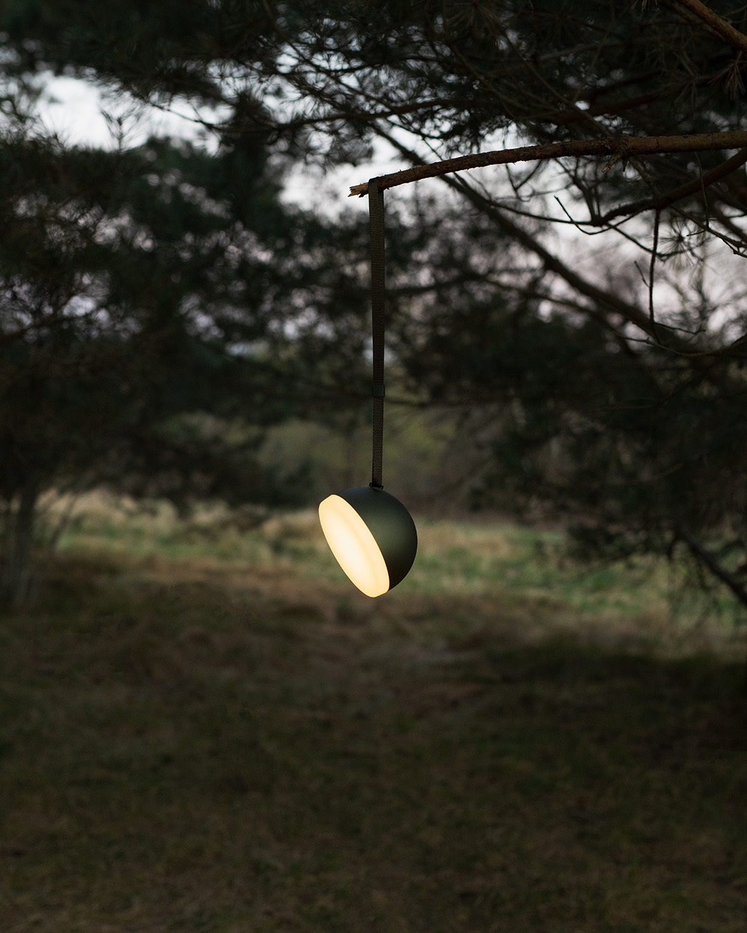 Лампа Sphere Adventure Light на ветке дерева